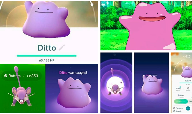 capturar a ditto en pokemon go